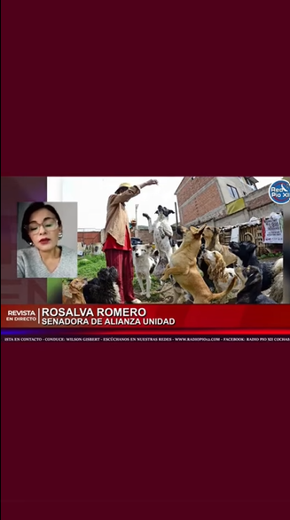 Agradezco a los medios de comunicación por brindarnos espacios para socializar el Proyecto de Ley de Protección, Reconocimiento y Apoyo del Estado  a los Defensores de la Vida Animal.